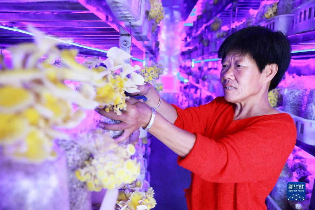 捕鱼赢现金10元提现
